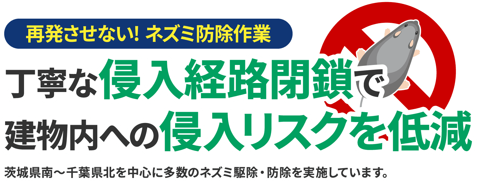 再発させない!ネズミ防除作業　茨城県南〜千葉県北を中心に多数のネズミ駆除・防除を実施しています。茨城県南〜千葉県北を中心に多数のネズミ駆除・防除を実施しています。丁寧な侵入経路閉鎖で建物内への侵入リスクを低減丁寧な侵入経路閉鎖で建物内への侵入リスクを低減