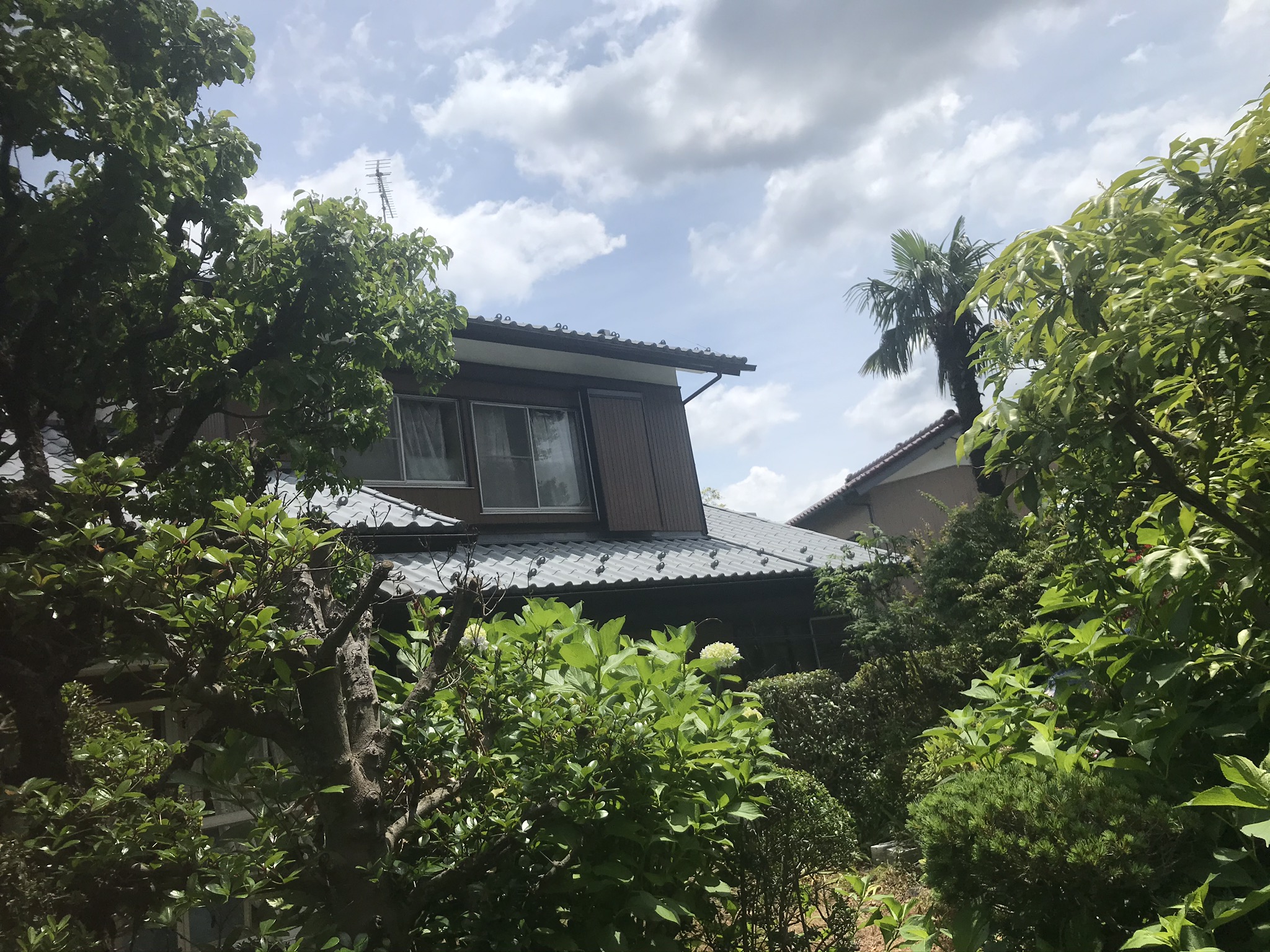 かずみ様確認用バスタブネズミ② かずみ様確認用バスタブネズミ②